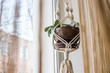 Handmade macrame for flowers in the interior of the concept