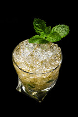 Poster - Mint Julep over black