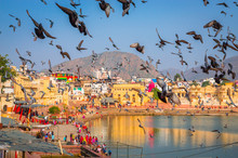 Panoramic View On Holy Lake And City Pushkar With Doves, Rajasthan, India.