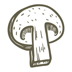 Sticker - Hand drawn illustration sketch style champignon mushroom composition icon. Vector icons for web design. Farm fresh food isolated on white background. Doodle style mushroom