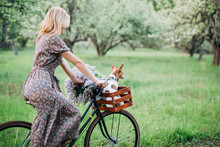 Back Girl Blonde In Dress And Glasses Rides A Bike With A Basket With A Dog And Flowers In The Garden