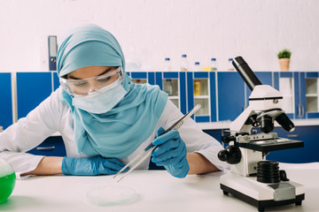 Wall Mural - female muslim scientist sitting at table with microscope and using tweezers with petri dish during experiment in chemical laboratory