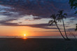 Coucher de soleil - plage - palmier