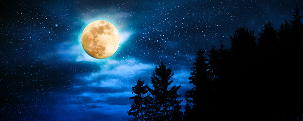 landscape with black trees and full moon. dark night sky.