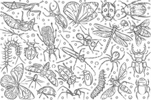 Hand Drawn Insects Ant And Butterfly.