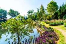 Beautiful Garden At Royal Agricultural Station - Doi Inthanon In Chiang Mai, Thailand