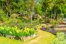 Beautiful Garden At Royal Agricultural Station - Doi Inthanon In Chiang Mai, Thailand