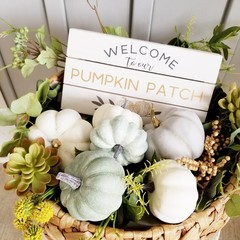 pumpkin patch