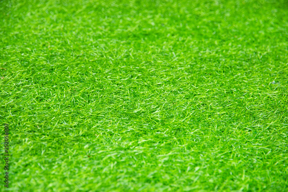 green grass texture as background. - obrazy, fototapety, plakaty 