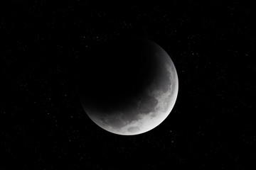 Wall Mural - moon