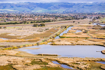 Wall Mural - Aerial view of the marshes of Coyote Hills Regional Park, east San Francisco bay, California