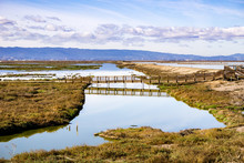 Bridge In Alviso Marsh, Don Edwards Wildlife Refuge, South San Francisco Bay, San Jose, California