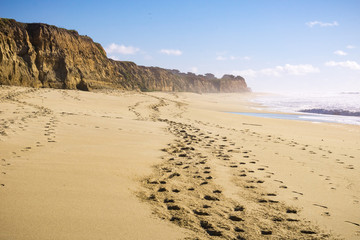 Wall Mural - The Pacific Ocean coast and beach in Half Moon Bay, California