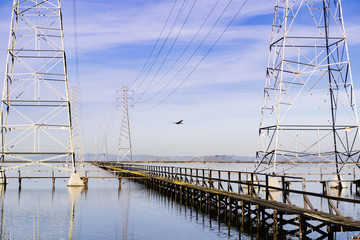 Wall Mural - Northern harrier flying among electricity towers, Shoreline Park, Mountain View, south San Francisco bay, California