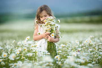 Wall Mural - Little girl in a field of camomile flowers