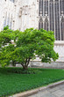 © saik20 - SONY DSC