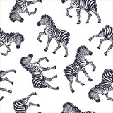Fototapeta Konie - zebra pattern, kid safari print