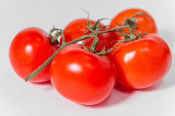 red tomatoes on a twig on a white background