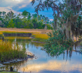 Wall Mural - A Cove on Tolomato River, St Johns County, Florida, USA