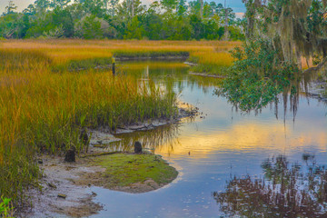 Wall Mural - A Cove on Tolomato River, St Johns County, Florida, USA