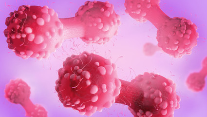 Wall Mural - 3d illustration of a cancer cell in the process of cytokinesis