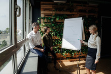 Business People Working With Flip Chart In Green Office