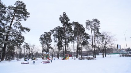 Wall Mural - View of different trees in the winter snow Park.