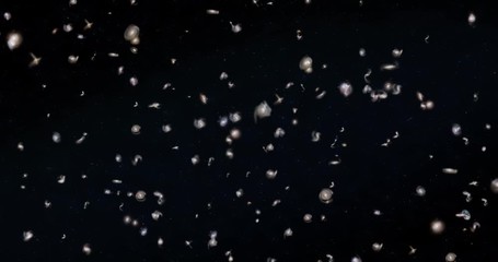 Wall Mural - An abstract big bang animation zooming through vast galaxies in the universe. Imagery courtesy of NASA.  	