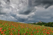 Thunderstorm Over Monastery Andechs With Poppy Field And Cornflowers, Pilgrimage Church, Starnberg District, Upper Bavaria, Bavaria, Germany, Europe