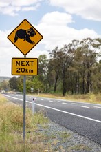 Warning Sign, Warning Of Koalas, Coastal Road A1, Queensland, Australia, Oceania
