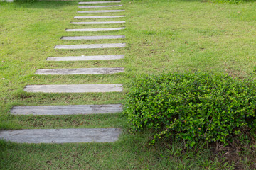 Wall Mural - garden path walkway on green grass turf