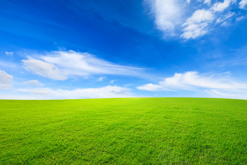 green grass and blue sky with white clouds