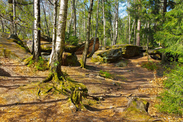 Sticker - Labyrinth in der Saechsischen Schweiz - so called Labyrint in the Elbe sandstone mountains