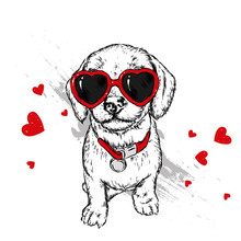 Portrait Of A Dog Or Puppy With Glasses In Shape Of Heart. Vector Illustration For Greeting Card Or Poster, Print On Clothes.