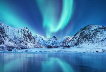 aurora borealis on the lofoten islands, norway. green northern lights above mountains. night sky wit