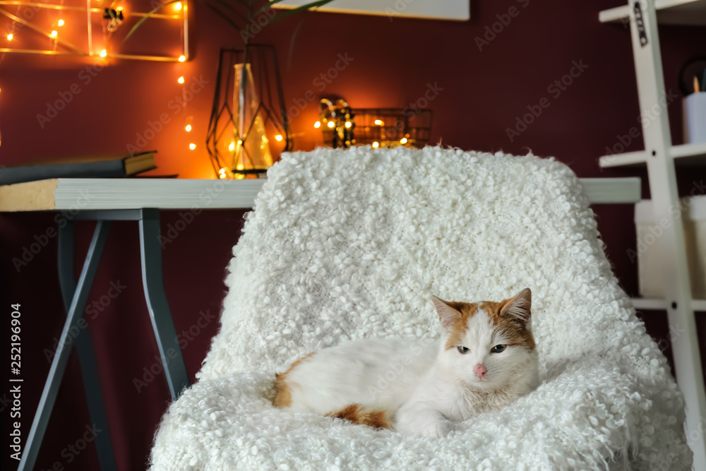 Cute cat lying on chair at home