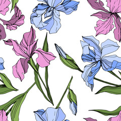 Vector Pink and blue iris floral botanical flower. Engraved ink art. Seamless background pattern.