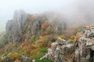 Sticker - autumn mountain