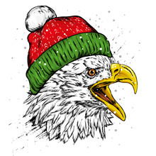 Beautiful Eagle In Winter Hat. Hawk Or Falcon. Predatory Bird. America. Vector Illustration For Postcard Or Poster, Print For Clothes. USA. Christmas And New Year, Santa Claus. 