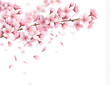 Sakura Realistic Background