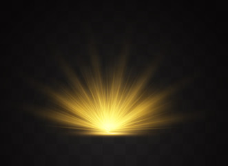 Wall Mural - light highlight yellow