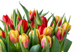 Fototapeta Tulipany - Bunch of tulips on white background, women's day card or mother's day flowers