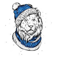 Beautiful Lion In A Winter Hat And Scarf. New Year And Christmas, Santa Claus. Vector Illustration For Postcard Or Poster, Print For Clothing And Accessories.