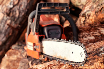 Professional chainsaw blade cutting log of wood. Chainsaw, wood, wood felling.