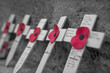 Close up of small wooden crosses with Poppy’s for Remembrance Day