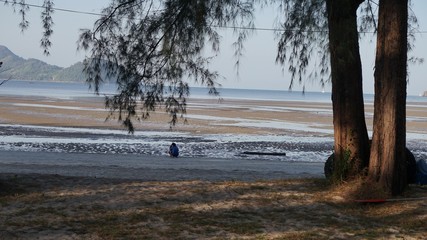 Poster - lake in winter