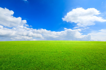 Poster - Green grass and blue sky with white clouds