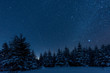 Dark sky full of shiny stars in Carpathian mountains in winter forest at night
