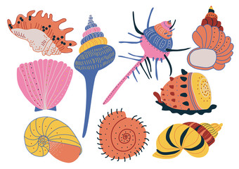 Sticker - Collection of Seashells, Colorful Tropical Underwater Shells and Creatures Vector Illustration