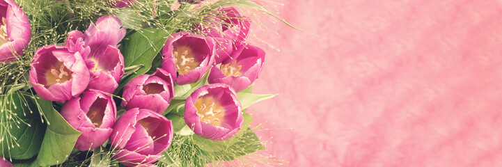 Wall Mural - bunch of pink tulips, soft and pastel colors, vintage style, panoramic background